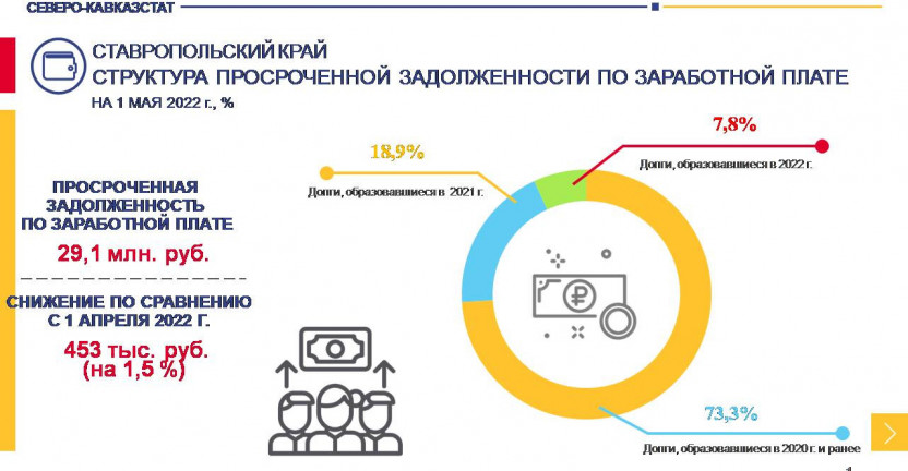 Структура просроченной задолженности по заработной плате на 1 мая 2022 г.